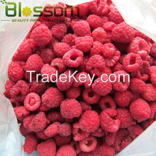 Fresh fruit grade A class 1 wholesale market price for frozen natural raspberry