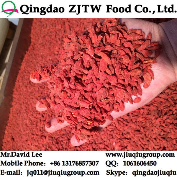 Red Goji Berries For Sale