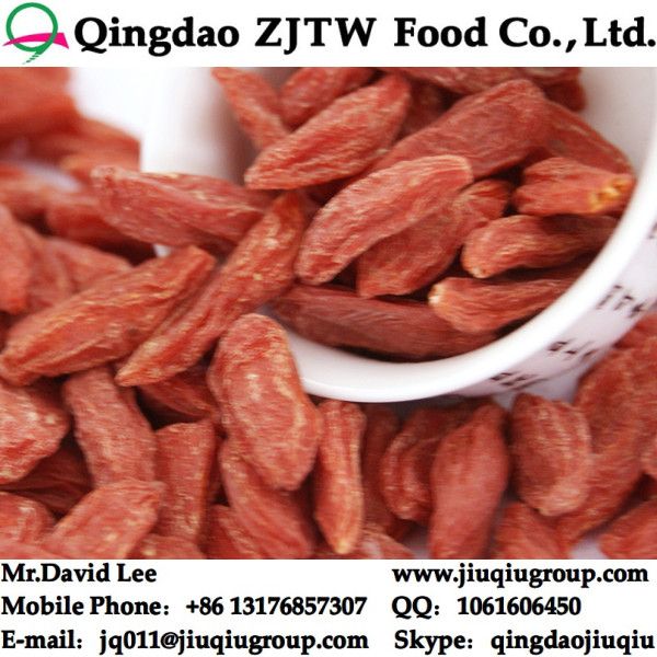 China Goji Berries