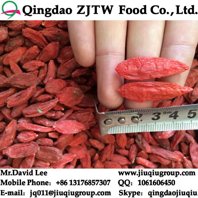 Dried Goji Berries