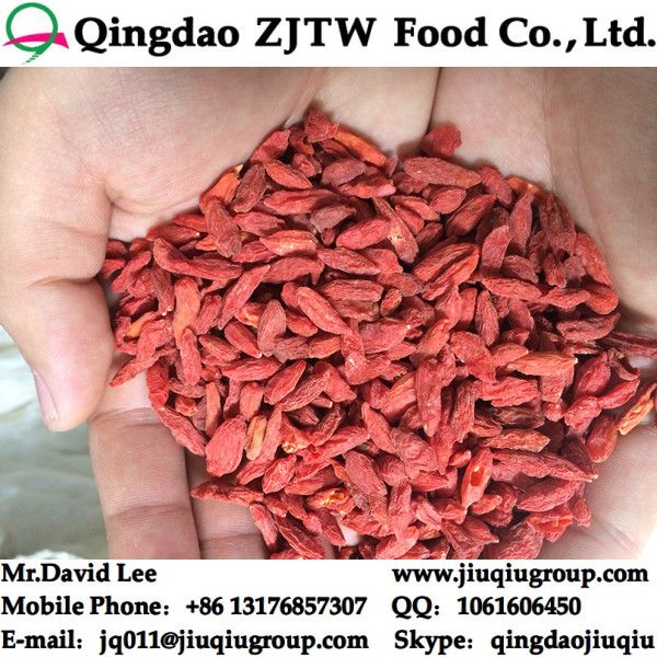 Zhongning Goji Berries