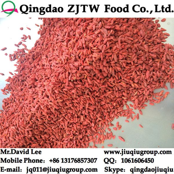 Chinese Goji Berries