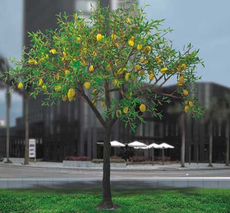 artificial led fruit tree lights high simulation led carambola tree for garden & park decoration
