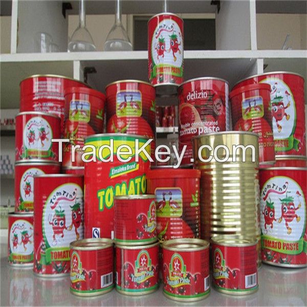 high quality 70g canned tomato paste