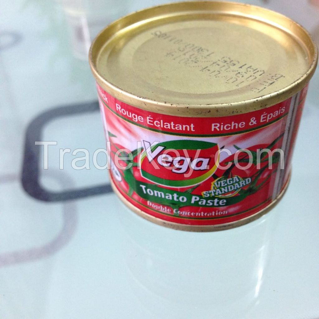 high quality 70g canned tomato paste