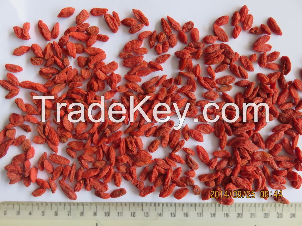 dried gojiberry (dried wolfberry)