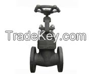 Globe Valve