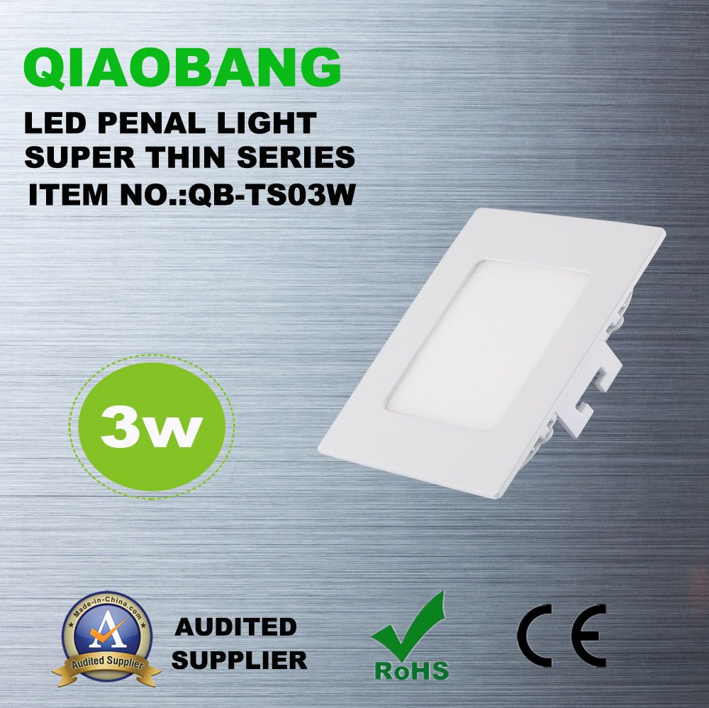 Ultra-Thin LED Panel Light with 3W (QB-TR03W)