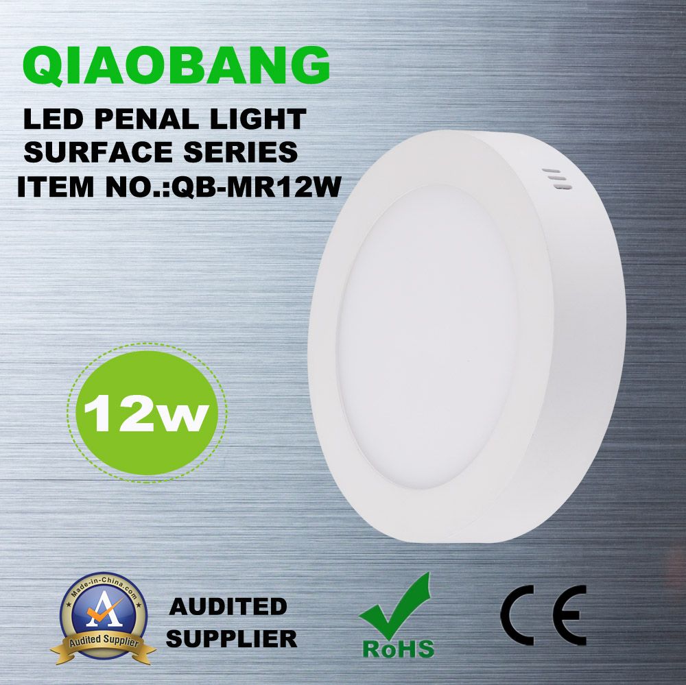 High Quality Super Selling Eyeshield LED Panel Light (QB-MR12W)