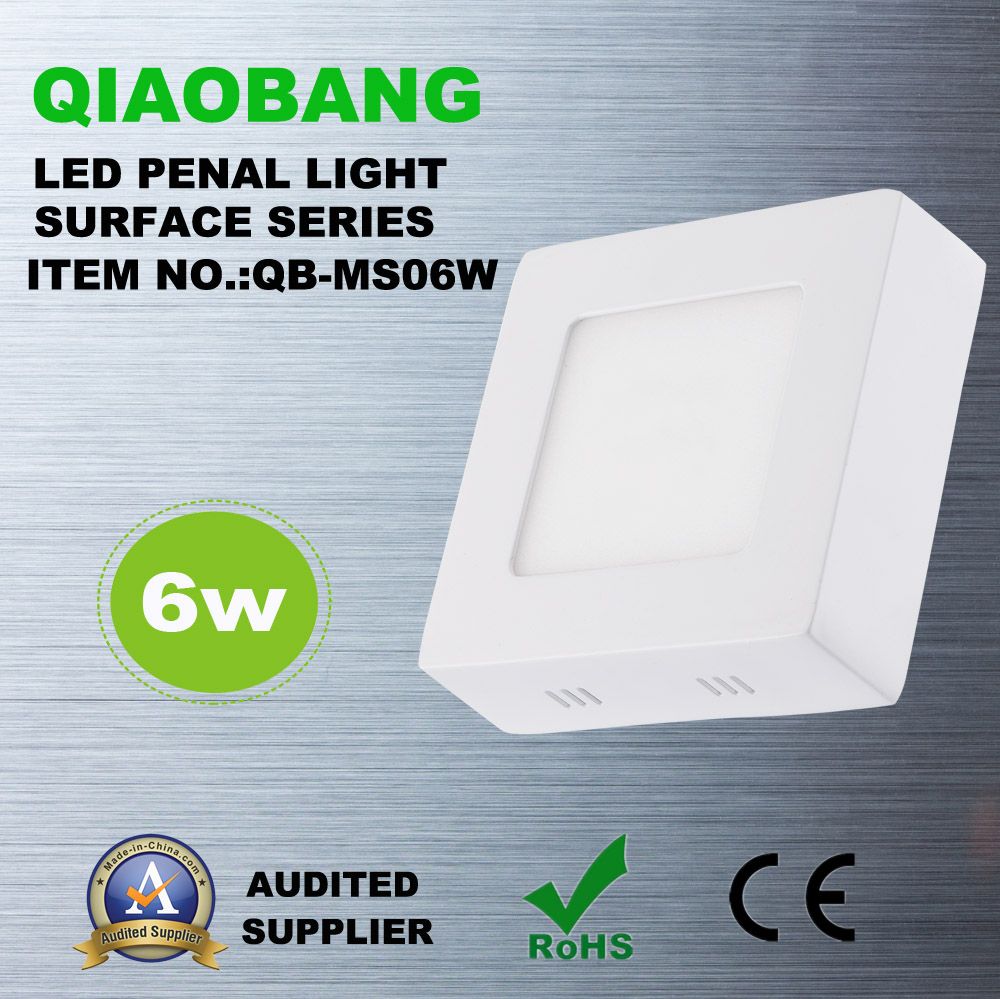 2 Years Warranty, 6W Surface, LED Panel Light with CE RoHS (QB-MS06W)