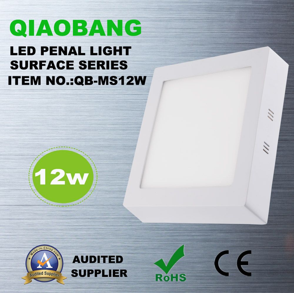 2 Years Warranty, 6W Surface, LED Panel Light with CE RoHS (QB-MS06W)