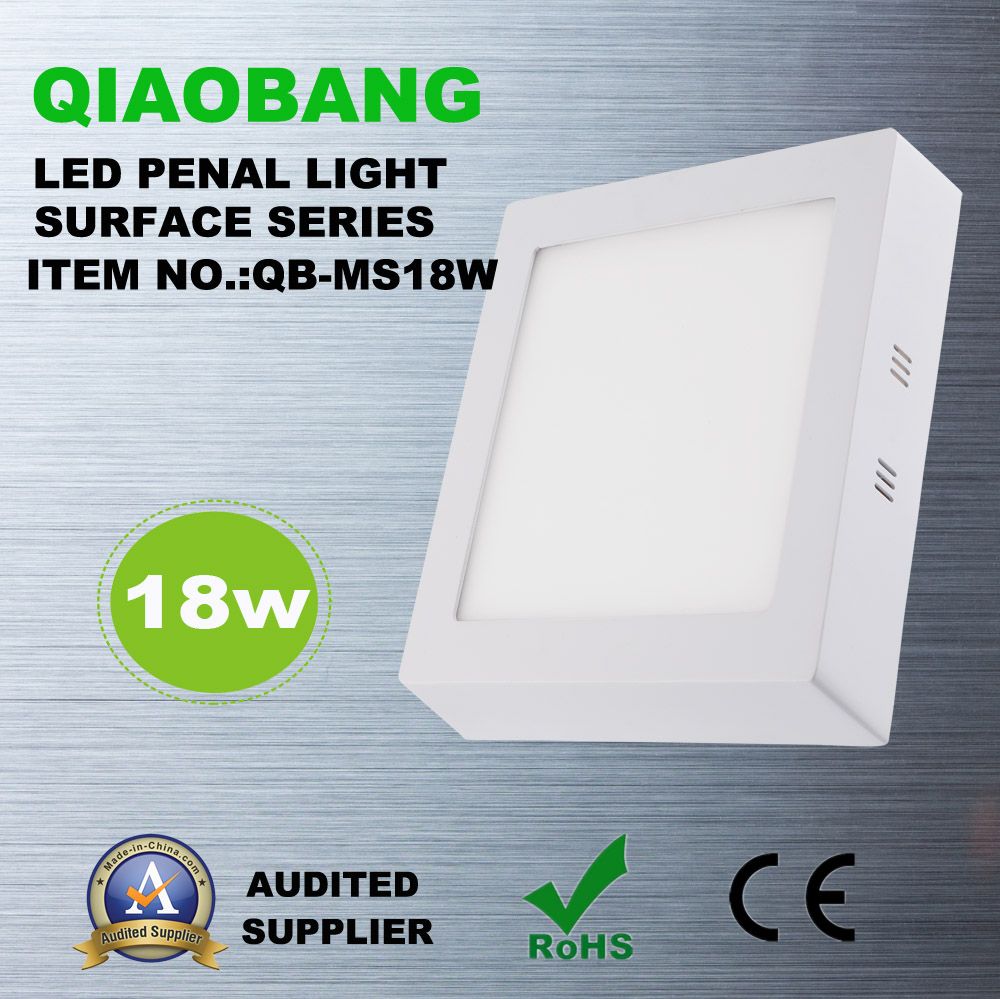 2 Years Warranty, 6W Surface, LED Panel Light with CE RoHS (QB-MS06W)