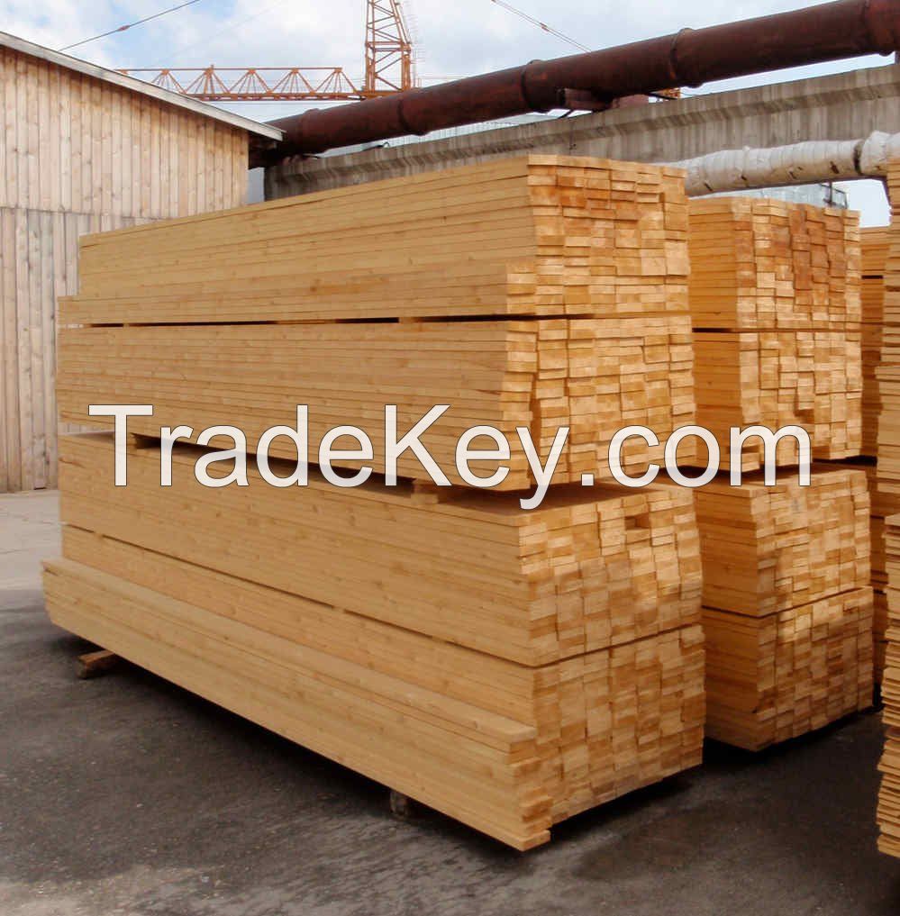 high quality birch  timber