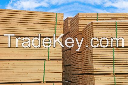 radiata ash lumber