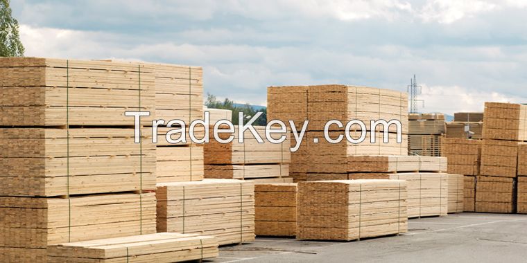 spruce fir lumber/logs for sale