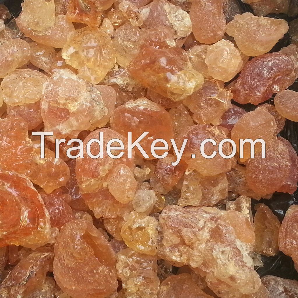 gum arabic