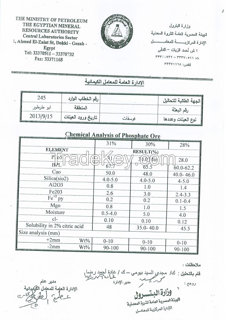 Egyptian Rock Phosphate mining company ( 28 % )