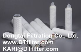 Double-Layer PES Filter Cartridge