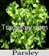 Parsley