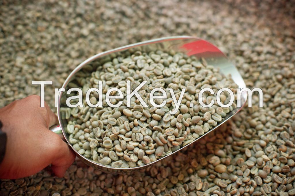 Arabica Coffee