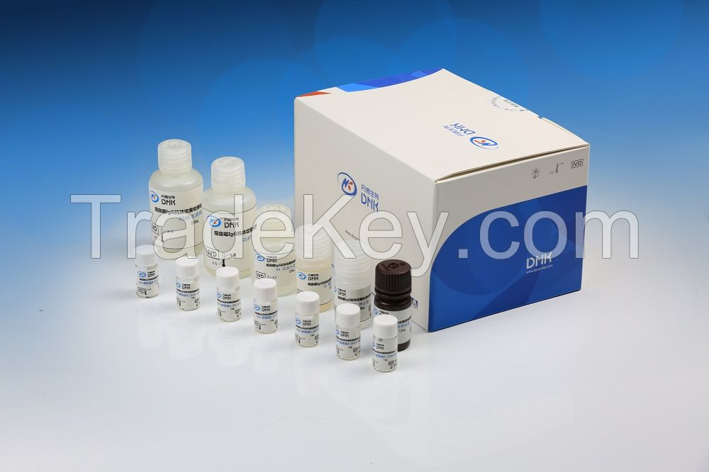 Dynamiker Aspergillus fumigatus IgG Assay