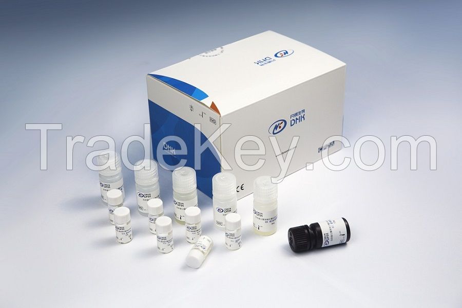 Dynamiker Candida Mannan Assay (ELISA)