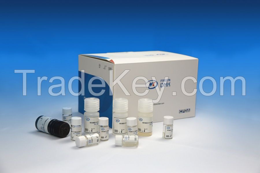 Dynamiker Human Procalcitonin Assay