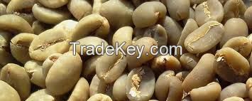 Green Robusta Coffee Beans For Sale   