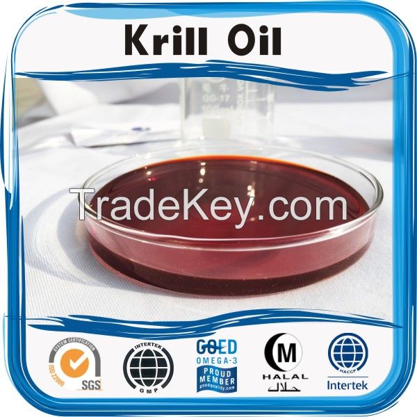 GMP certificate factory Antioxidant raw materials - Krill Oil