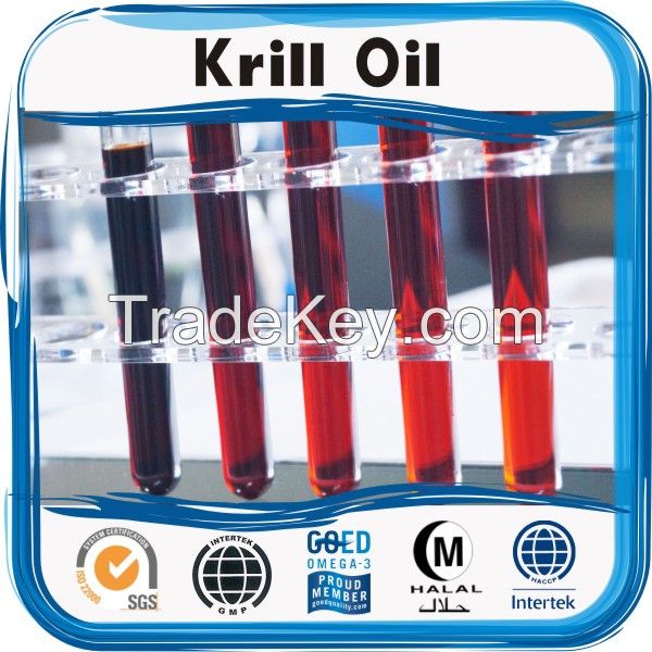 GMP factory manufacturer wholesale krill oil nutritional supplement