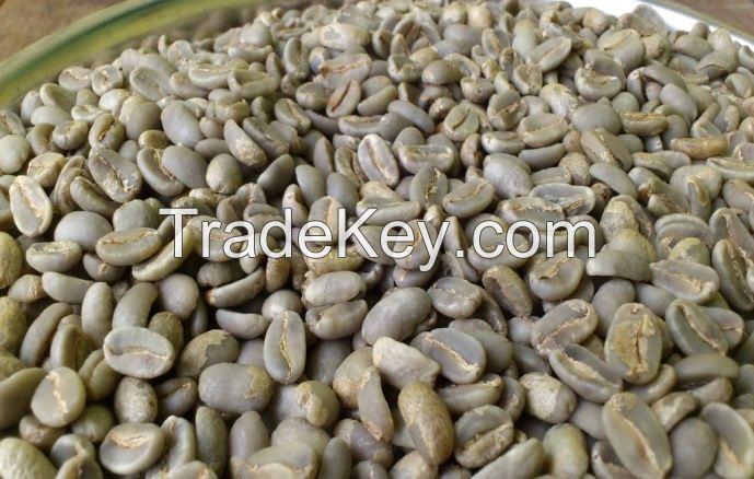 Arabica Coffee Beans