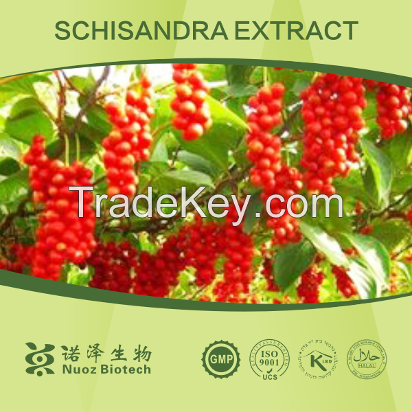 China Manufacturer Supply Best Quality Schisandra extract