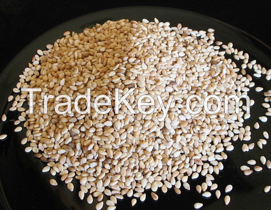 Sesame Seeds