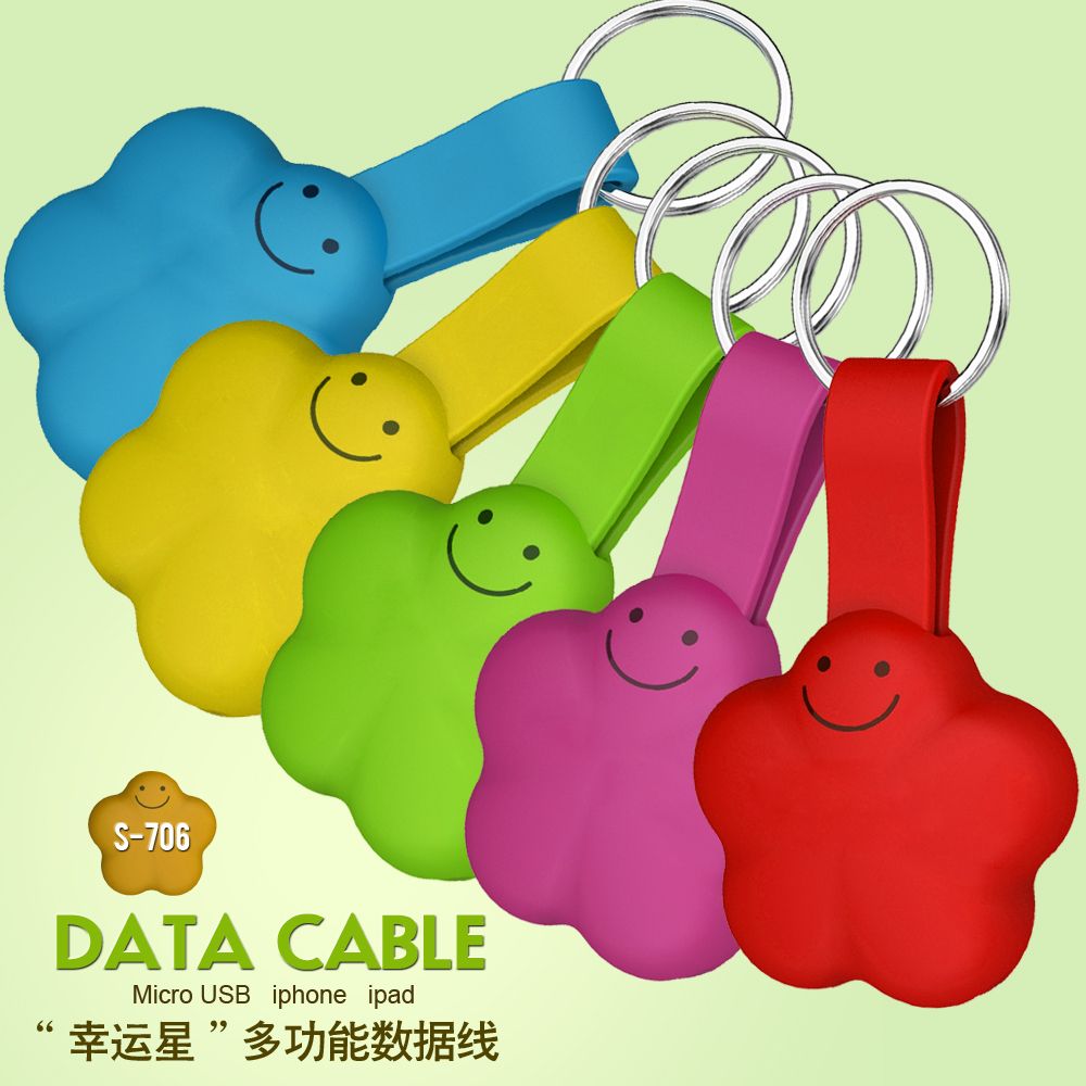 Portable data cable