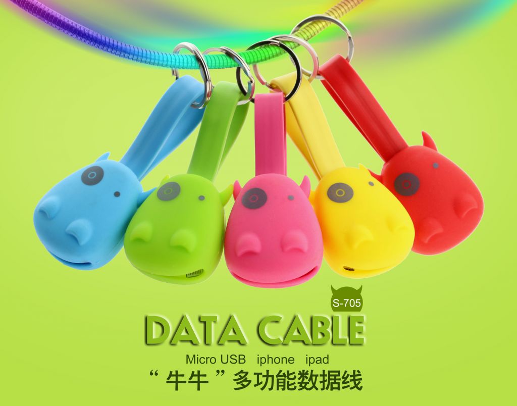Portable data cable