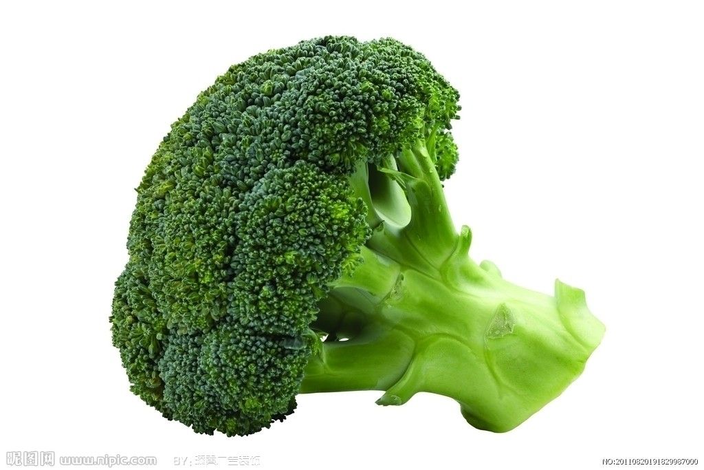 Fresh broccoli