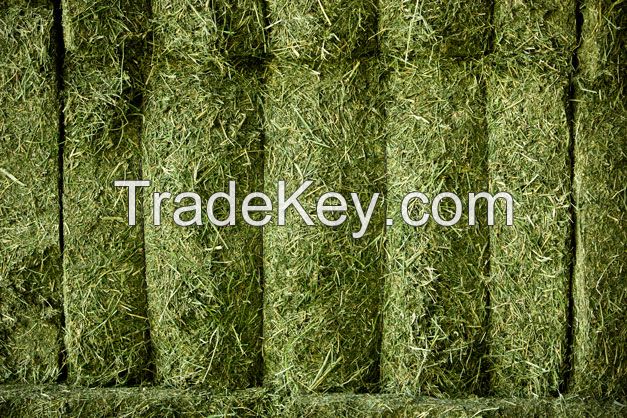 Alfalfa bales