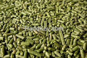 Alfalfa pellets (prot. 16-18%), 6mm