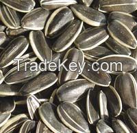 sunflower seeds