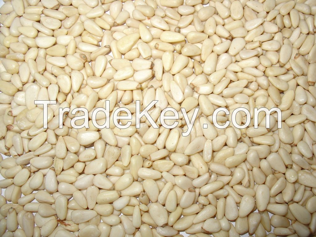 PINE NUT KERNELS