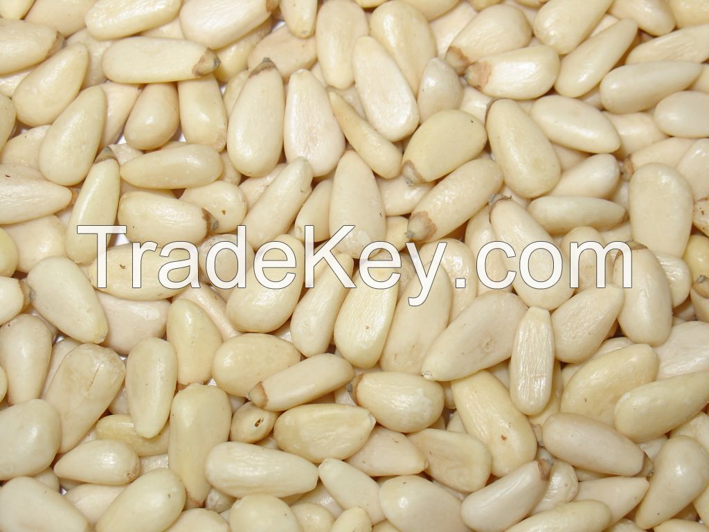 PINE NUT KERNELS