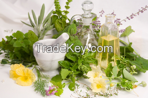 Herbal & Ayurvedic Products