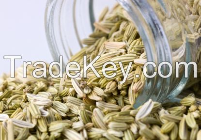 Indian Seeds