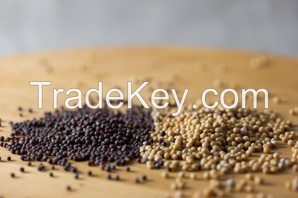 Indian Seeds