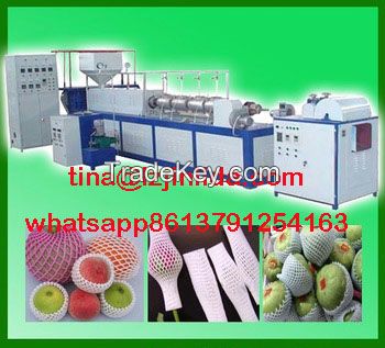 epe foam machine/epe foam sheet extrusion line/epe foam pipe extrusion production plant/pe foam fruit net machine