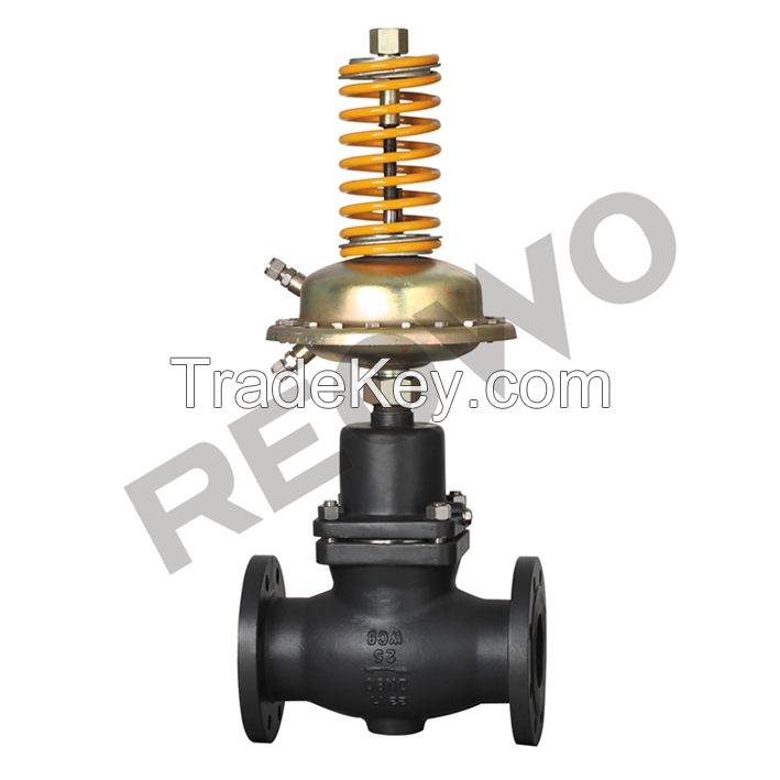 The 30D04Y 30D04R self-operated differential pressure control valve