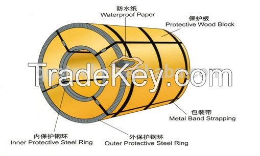 Carbon Hot Dipped Steel Coil/Strip