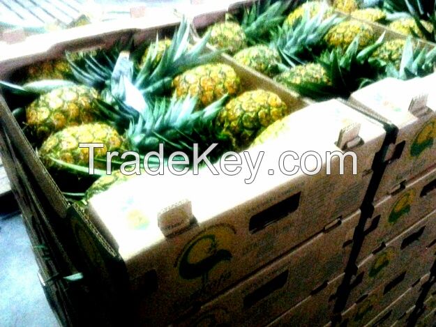 Juicy Pineapple