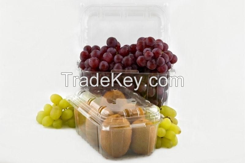 fruit container , food container , clear plastic container