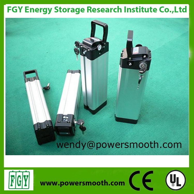 48V Li-ion LiFePO4 Rechargable Battery for E-bike 